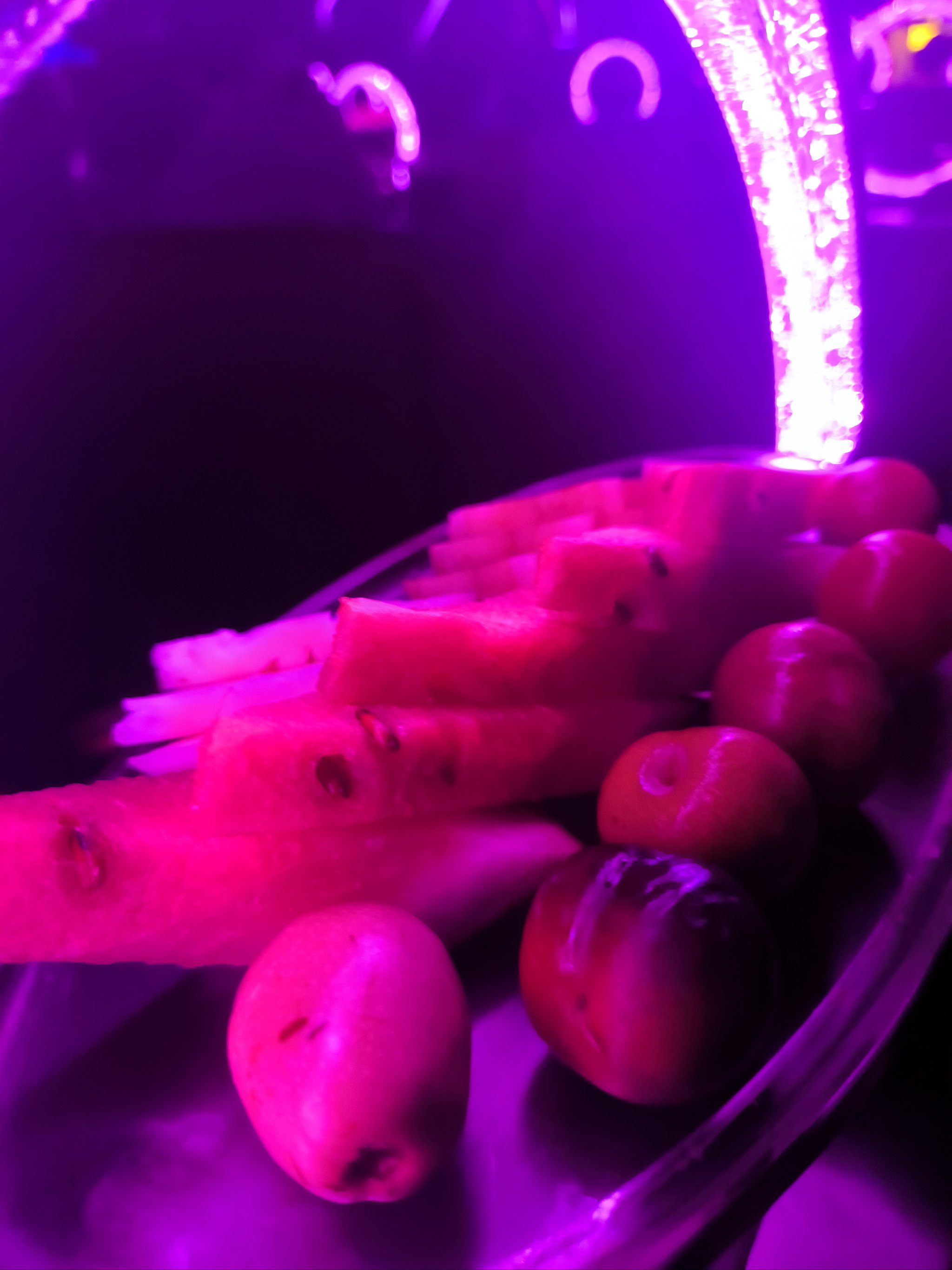 邢台商务ktv商务ktv能否组局解析-南宫市ktv预定